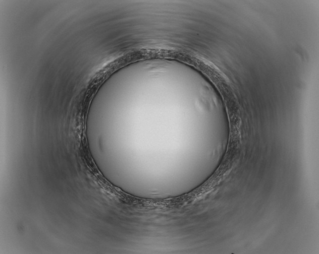 X0000112060870200908251018