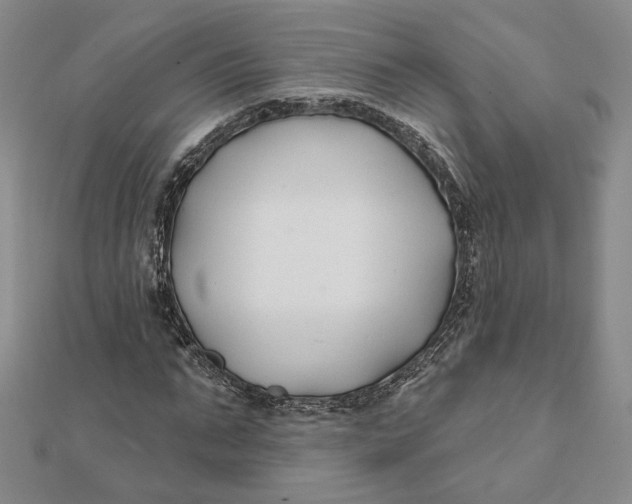 X0000112060871200908251018