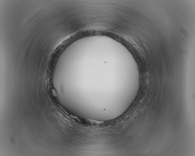 X0000112060872200908251018