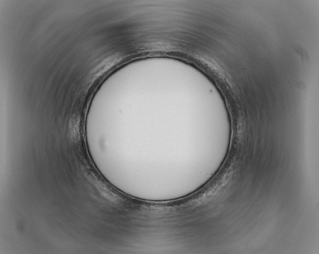 X0000112060873200908251018