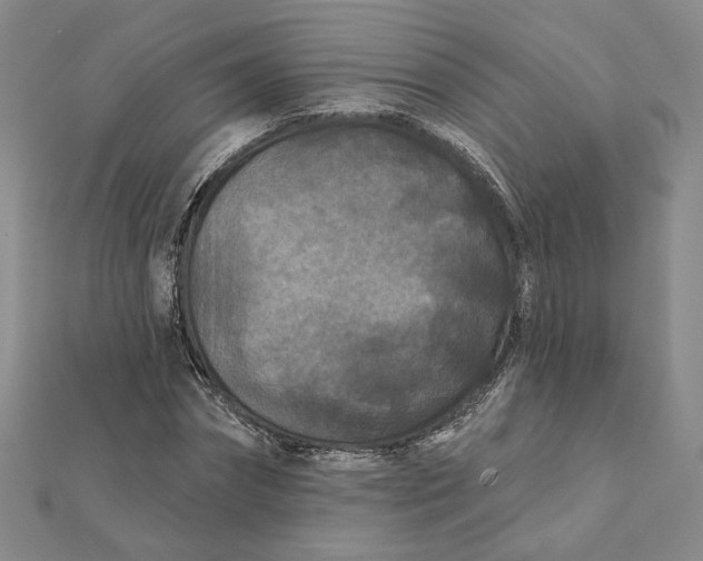 X0000112060874200908251018