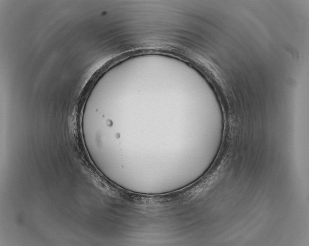 X0000112060875200908251018