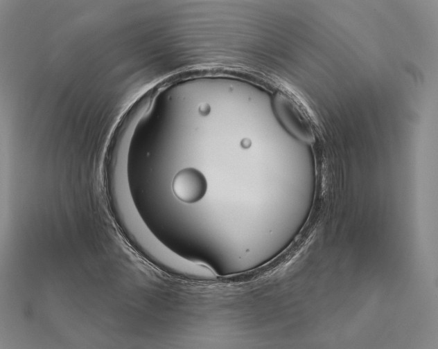 X0000112060876200908251018