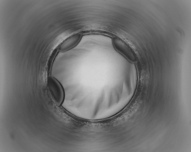 X0000112060877200908251018