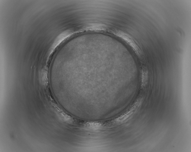 X0000112060878200908251018