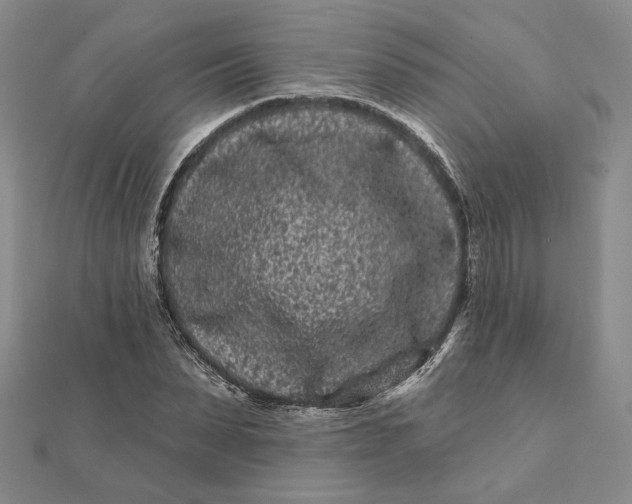 X0000112060879200908251018