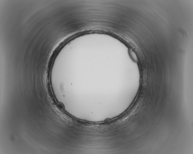 X0000112060880200908251018