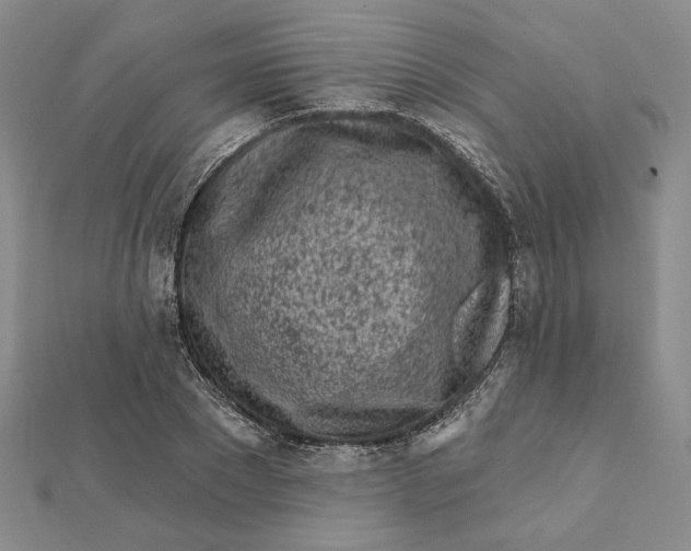 X0000112060881200908251018