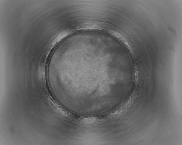 X0000112060882200908251018