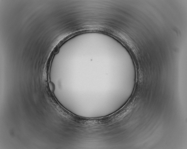 X0000112060883200908251018