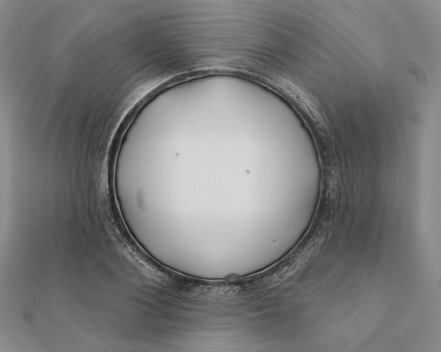 X0000112060884200908251018