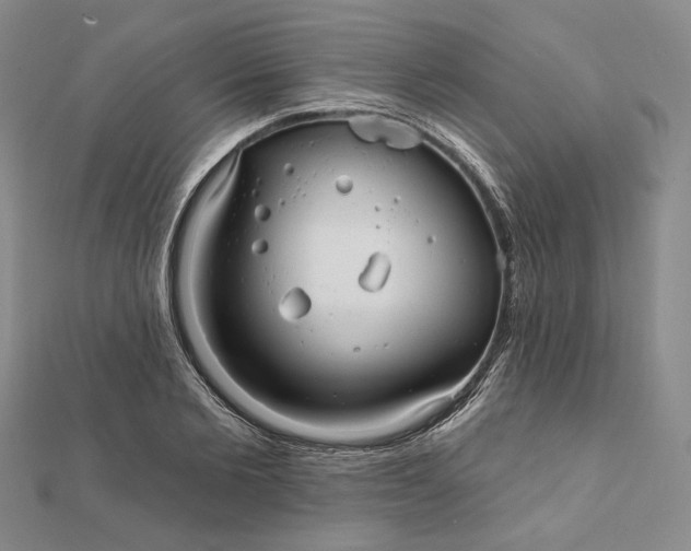 X0000112060885200908251018