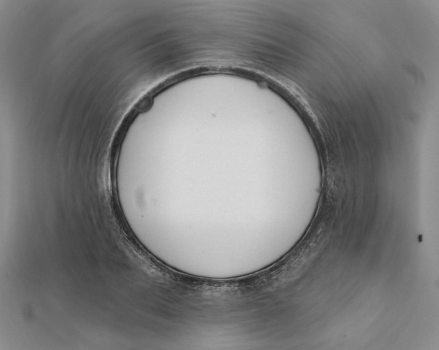 X0000112060887200908251018