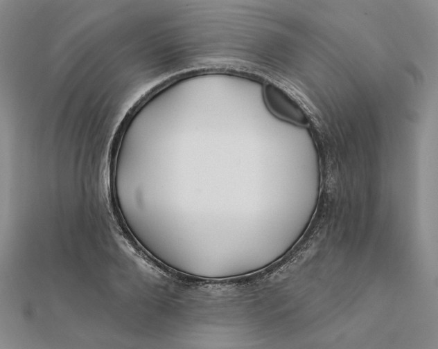 X0000112060888200908251018