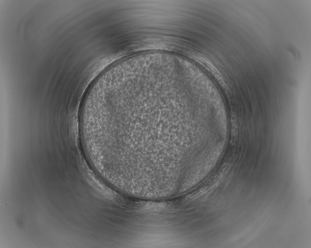 X0000112060890200908251018