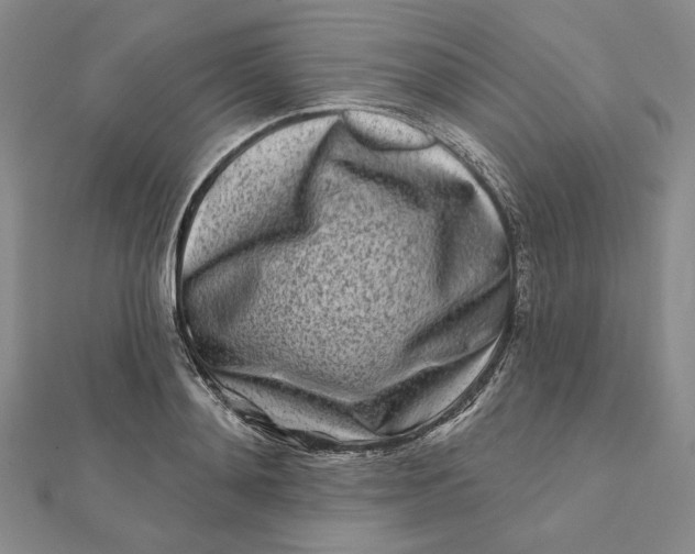 X0000112060892200908251018