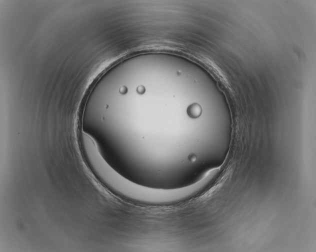 X0000112060893200908251018