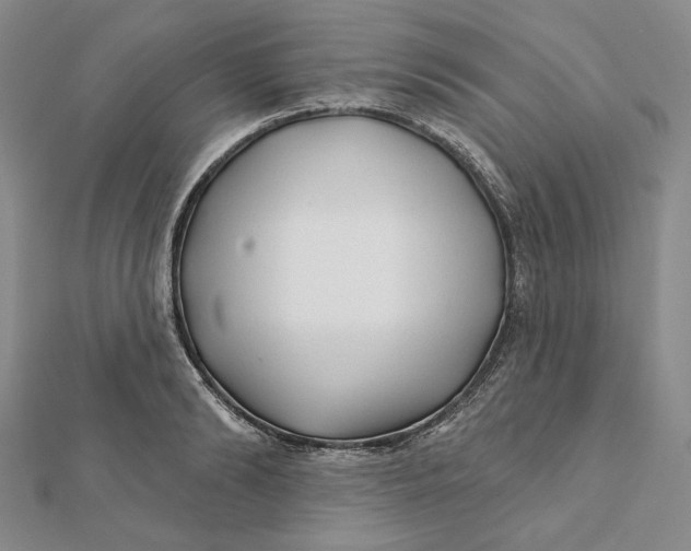 X0000112060894200908251018