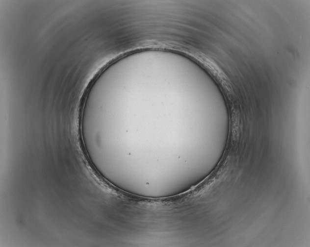 X0000112060896200908251018