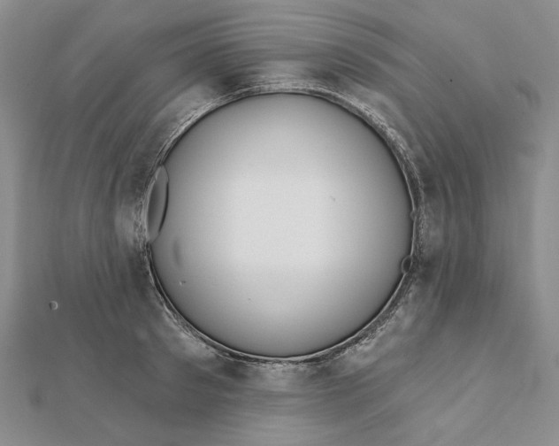 X0000112060897200908251018