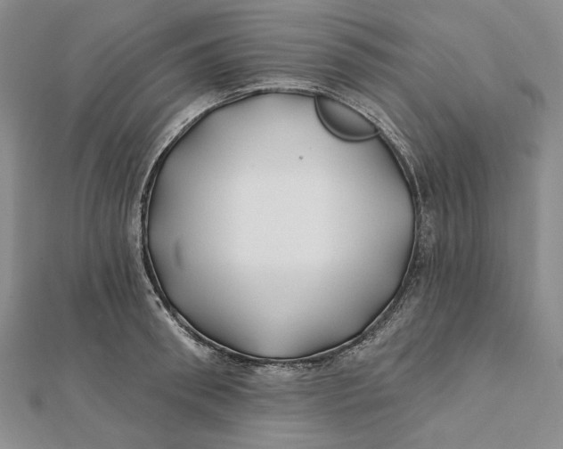 X0000112060898200908251018