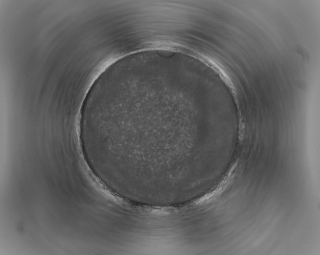 X0000112060899200908251018