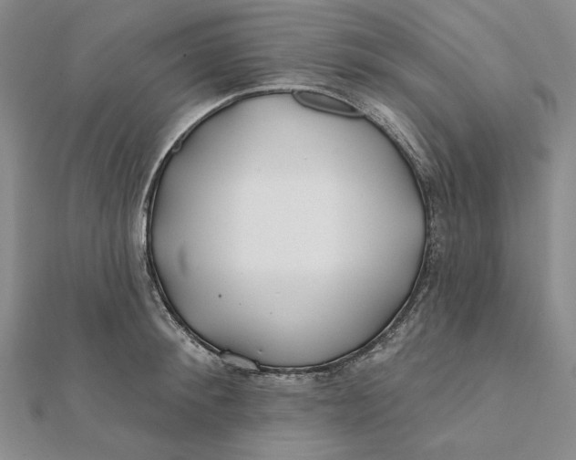 X0000112060900200908251018