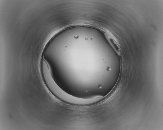 X0000112060901200908251018