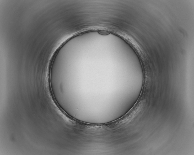 X0000112060902200908251018