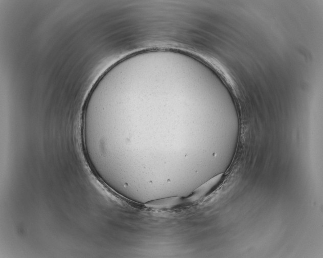 X0000112060903200908251018