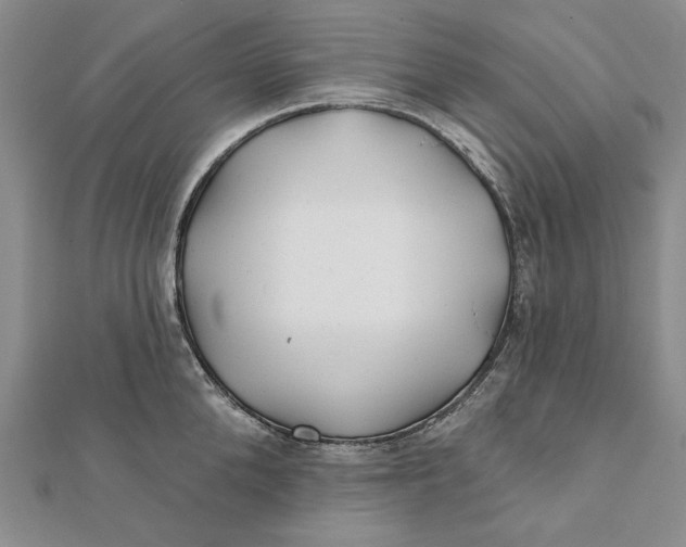 X0000112060904200908251018