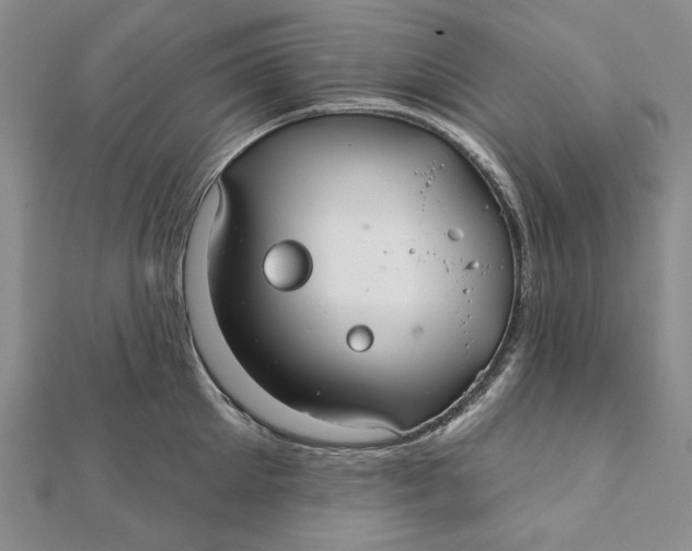 X0000112060905200908251018