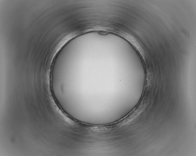 X0000112060906200908251018