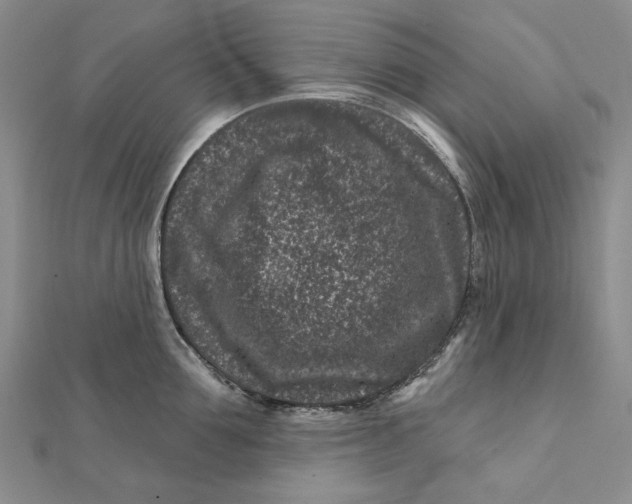 X0000112060907200908251018