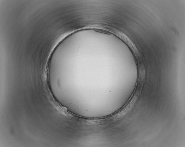 X0000112060908200908251018