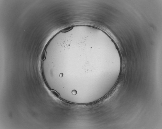 X0000112060909200908251018