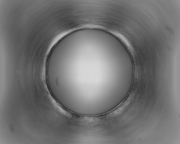 X0000112060910200908251018