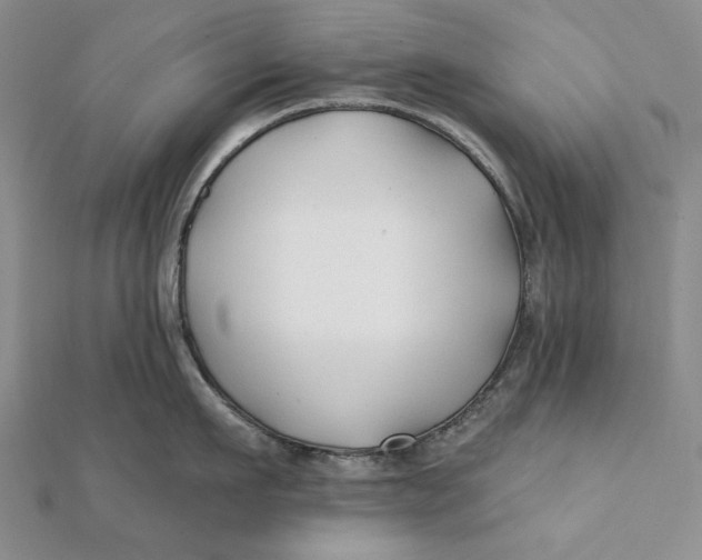 X0000112060911200908251018