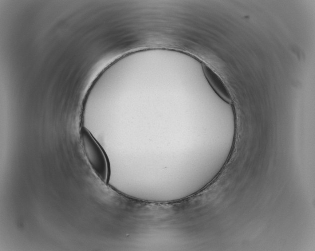 X0000112060912200908251018