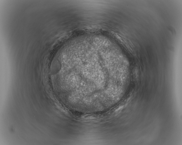 X0000112060913200908251017