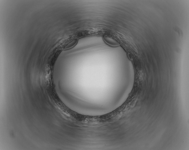 X0000112060914200908251017