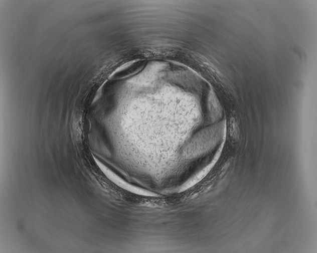 X0000112060915200908251017