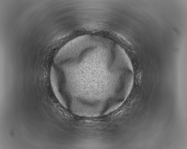 X0000112060917200908251017