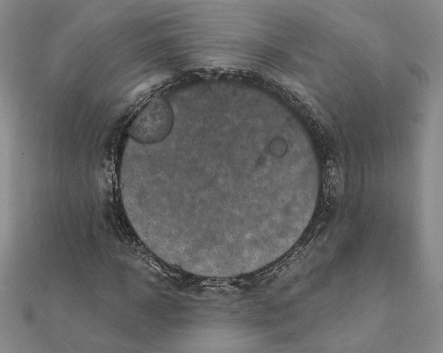 X0000112060918200908251017