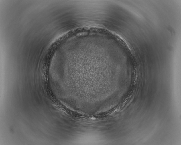 X0000112060919200908251017