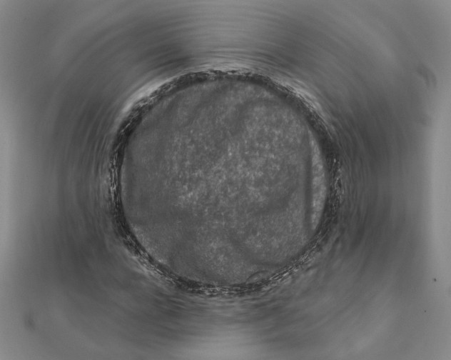 X0000112060920200908251017