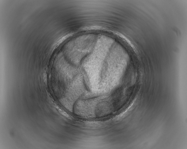 X0000112060921200908251017