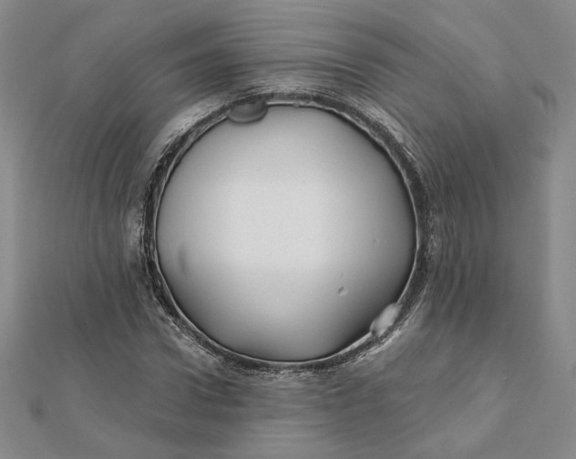 X0000112060922200908251017