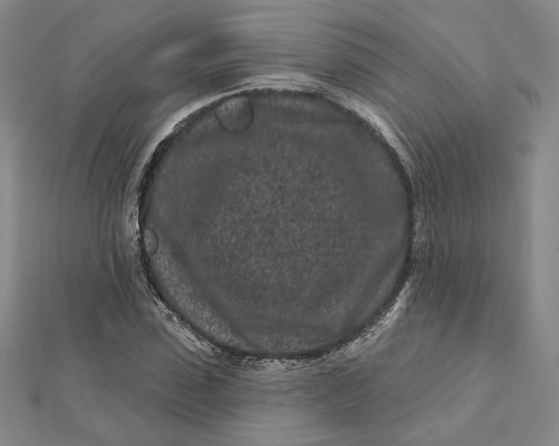 X0000112060923200908251017