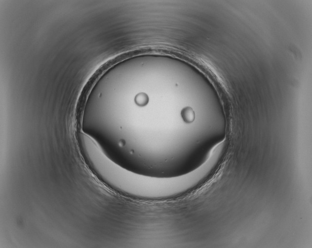 X0000112060924200908251017